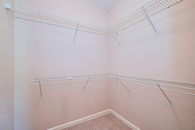 115 N 12th St, Highlands, TX 77562 - walk in closet with carpet flooring