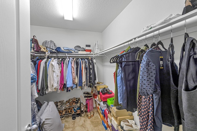 28614 Cabrera Hill Ln, Katy, TX 77494 - view of spacious closet