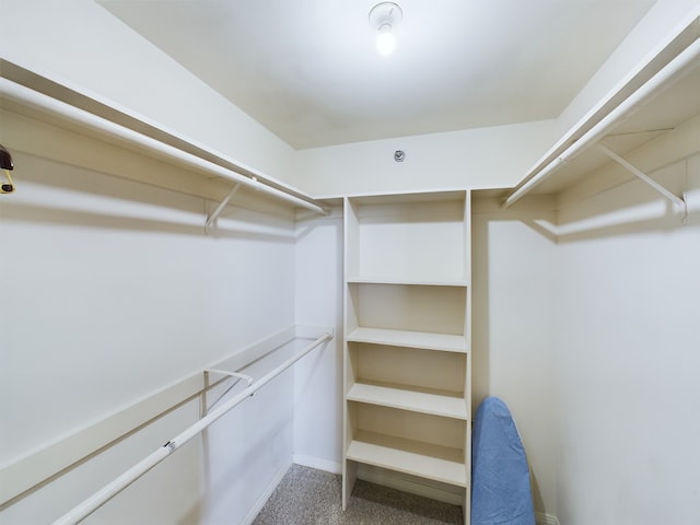 3525 Sage Rd Unit 412, Houston, TX 77056 - spacious closet featuring carpet flooring