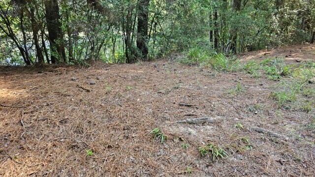 30569 Lake Rd, Waller, TX 77484 - photo 20