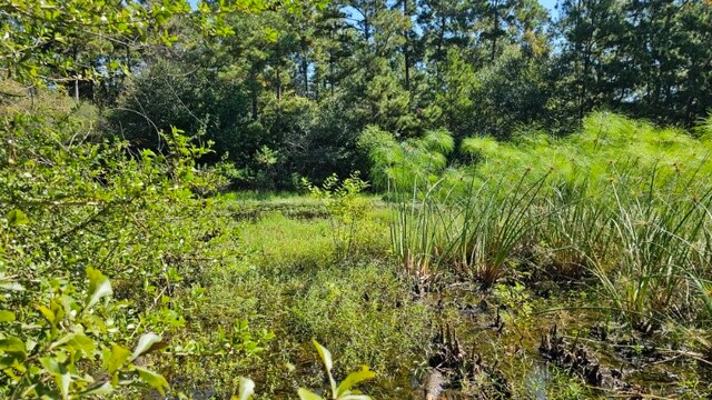 30569 Lake Rd, Waller, TX 77484 - photo 6