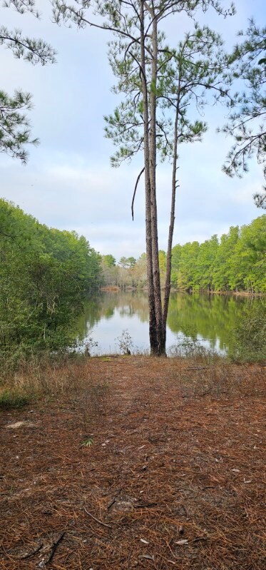 30569 Lake Rd, Waller, TX 77484 - photo 7