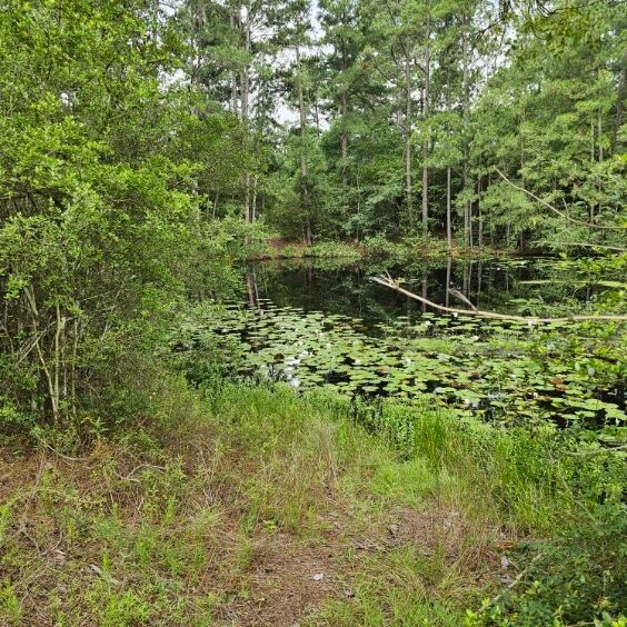 30569 Lake Rd, Waller, TX 77484 - photo 8