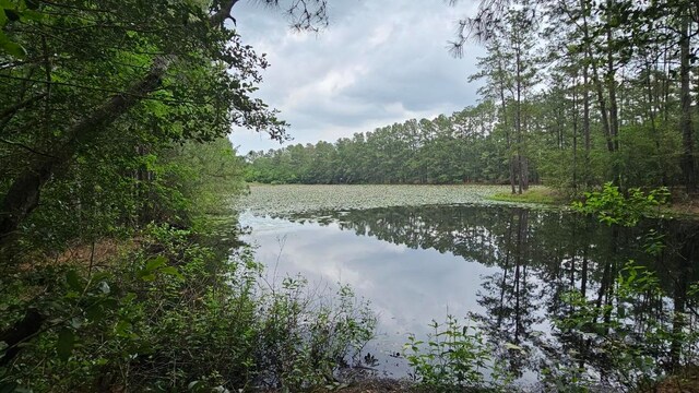 30569 Lake Rd, Waller, TX 77484 - photo 10