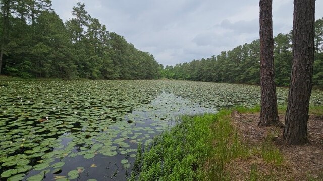 30569 Lake Rd, Waller, TX 77484 - photo 11