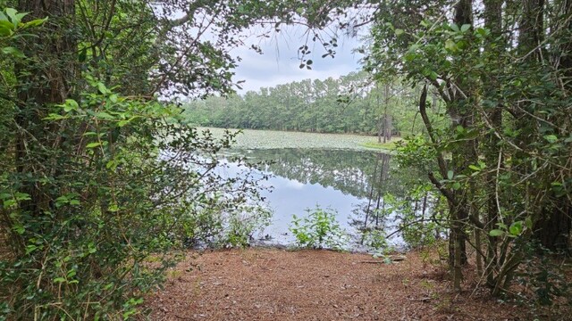 30569 Lake Rd, Waller, TX 77484 - photo 16