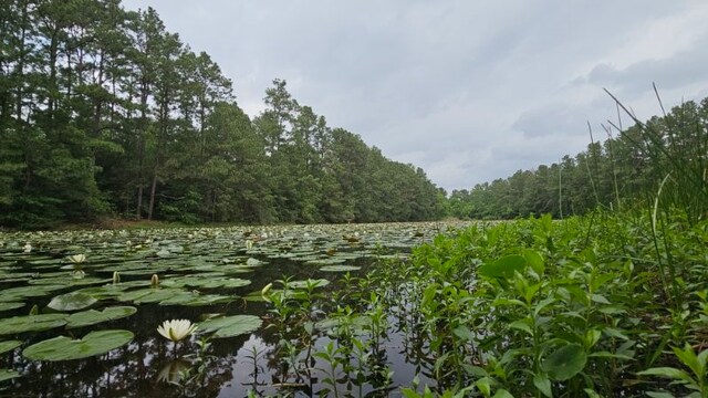 30569 Lake Rd, Waller, TX 77484 - photo 37