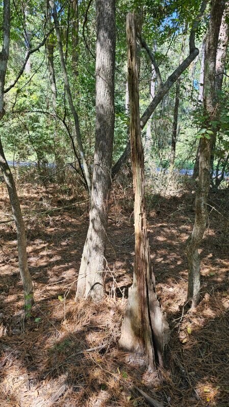 30569 Lake Rd, Waller, TX 77484 - photo 45