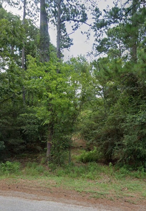 30569 Lake Rd, Waller, TX 77484 - photo 26