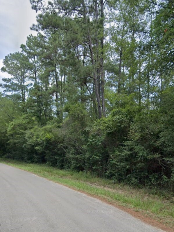 30569 Lake Rd, Waller, TX 77484 - photo 27