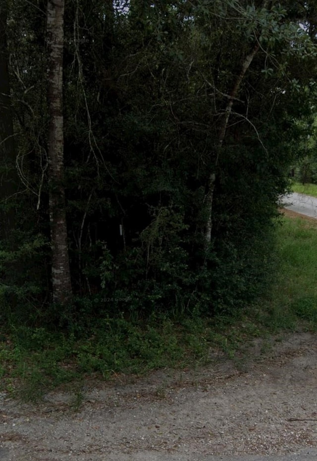 30569 Lake Rd, Waller, TX 77484 - photo 32