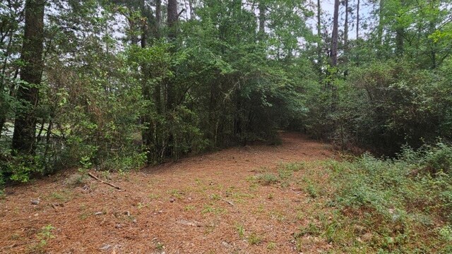 30569 Lake Rd, Waller, TX 77484 - photo 36