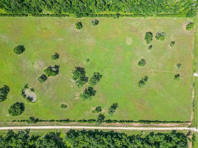 2015 County Road 740, Damon, TX 77480