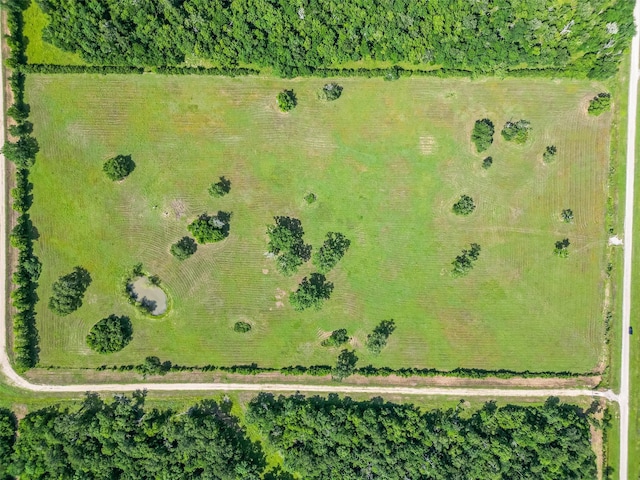 2015 County Road 740, Damon, TX 77480
