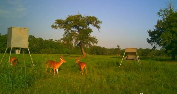 2015 County Road 740, Damon, TX 77480