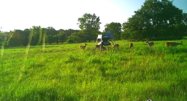 2015 County Road 740, Damon, TX 77480