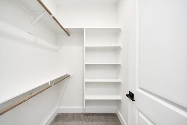 4602 Bristol St, Houston, TX 77009 - walk in closet featuring carpet floors