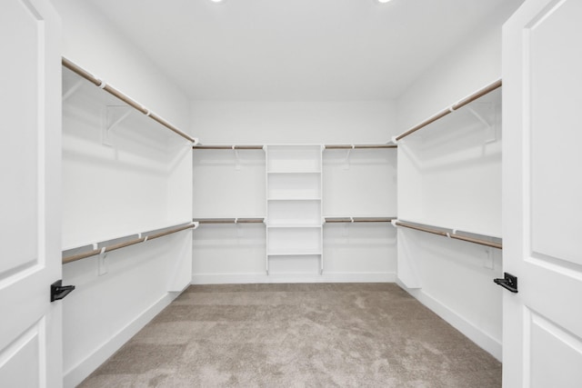 103 Frawley St, Houston, TX 77009 - spacious closet with carpet flooring