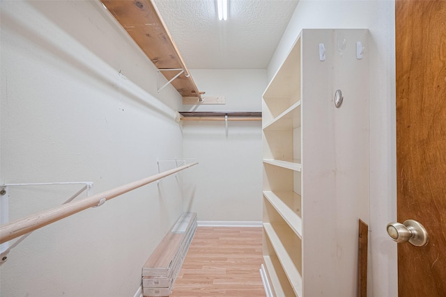 334 Swords Bnd, Stafford, TX 77477 - walk in closet with light wood-style floors