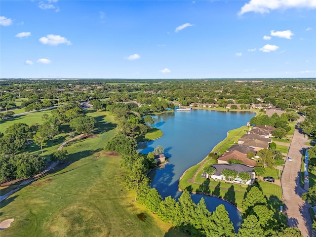 739 Apple Blossom Dr, Pearland, TX 77584 - aerial view of a nearby body of water and a local golf course