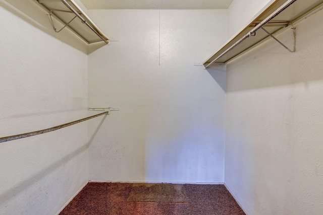 4919 Prairie Ridge Rd, Houston, TX 77053 - walk in closet featuring carpet flooring
