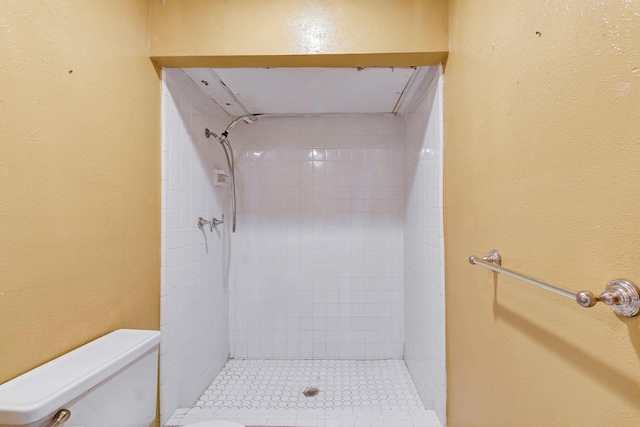 4919 Prairie Ridge Rd, Houston, TX 77053 - bathroom with toilet, tiled shower, and a textured wall