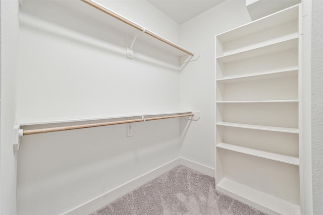 406 Welch St, Houston, TX 77006 - spacious closet featuring carpet floors