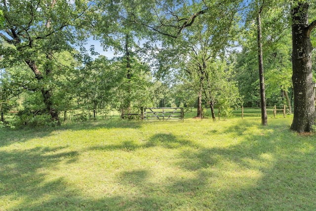 3197 Mann Rd, Conroe, TX 77303 - photo 10