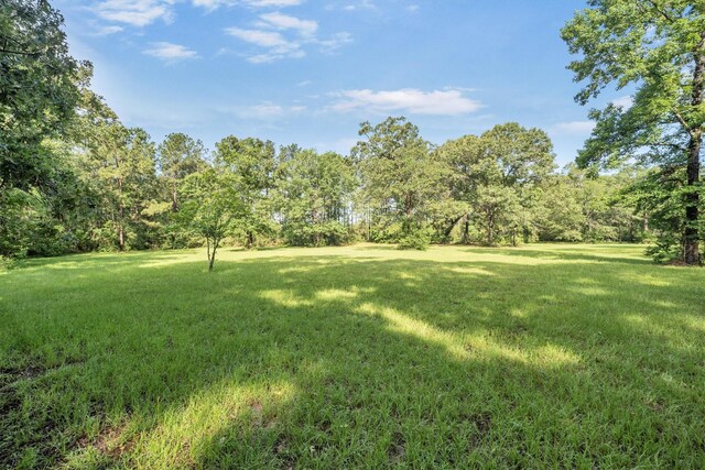 3197 Mann Rd, Conroe, TX 77303 - photo 13