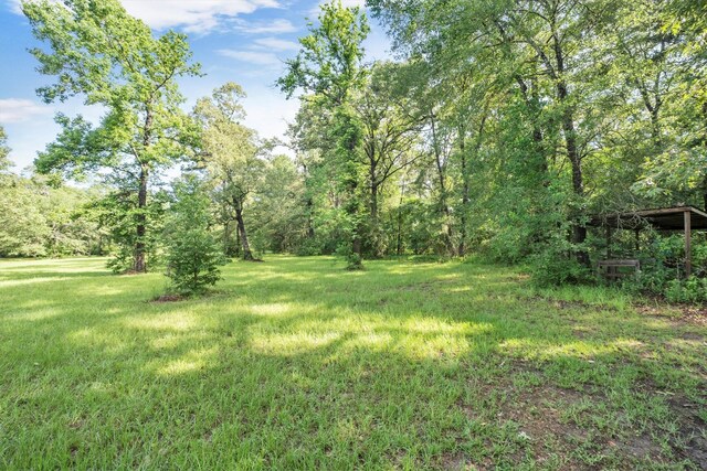3197 Mann Rd, Conroe, TX 77303 - photo 14