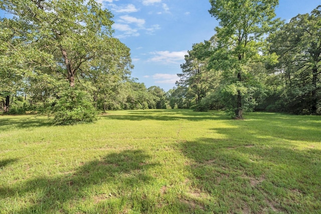 3197 Mann Rd, Conroe, TX 77303 - photo 15