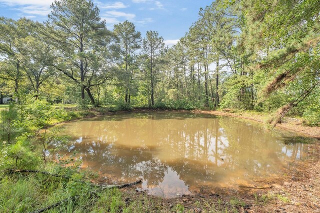 3197 Mann Rd, Conroe, TX 77303 - photo 46