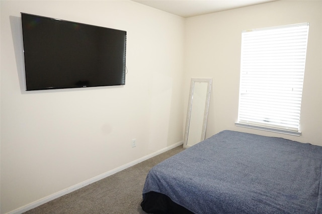 1608 Grable Cove Ln, Spring, TX 77379 - bedroom featuring carpet floors and baseboards