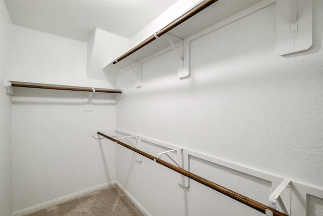 23607 Buttress Root Dr, Spring, TX 77373 - walk in closet with light carpet