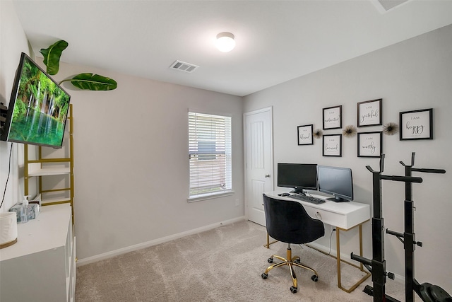 23607 Buttress Root Dr, Spring, TX 77373 - office space with baseboards and carpet