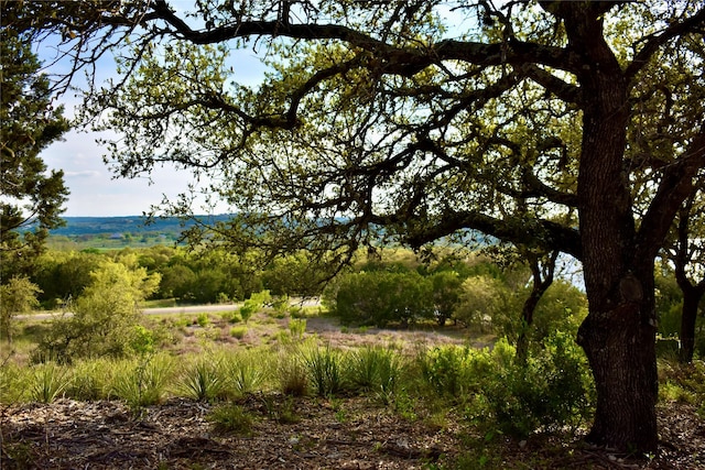 558 Rio Ridge Pkwy, Spring Branch, TX 78070 - photo 1