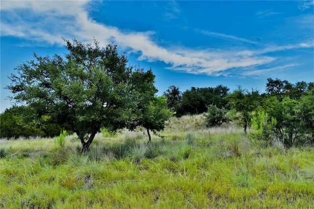 558 Rio Ridge Pkwy, Spring Branch, TX 78070 - photo 2