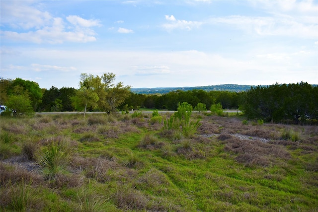 558 Rio Ridge Pkwy, Spring Branch, TX 78070 - photo 3