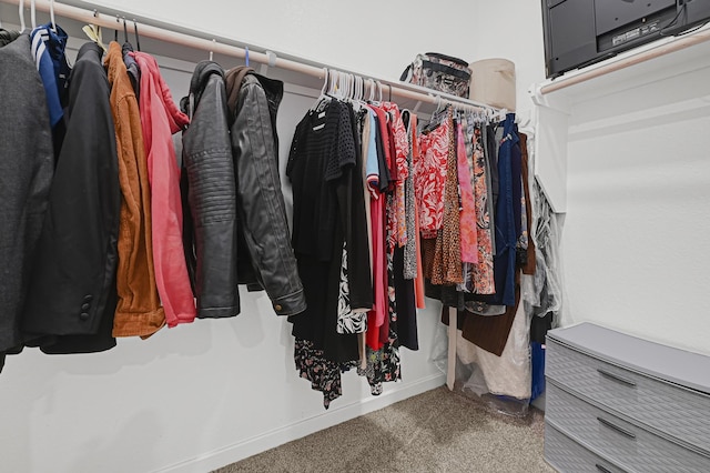 21746 Heather Elm Dr, Cypress, TX 77433 - spacious closet with carpet floors