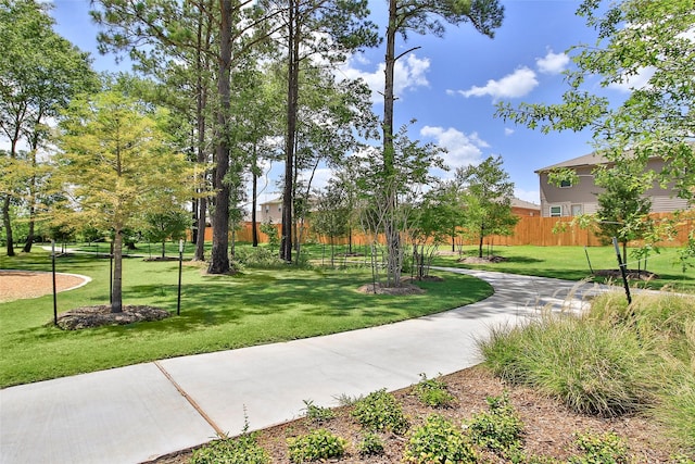 10347 Red Cardinal Dr, Cleveland, TX 77328 - view of surrounding community
