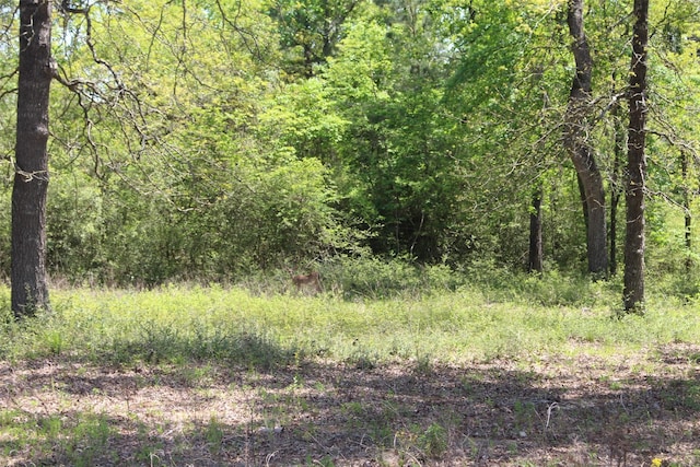 TRACT142 Private Road 1311, Centerville, TX 75833