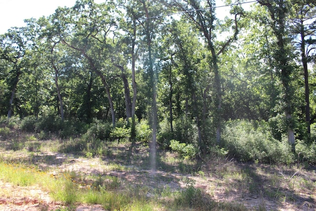TRACT142 Private Road 1311, Centerville, TX 75833