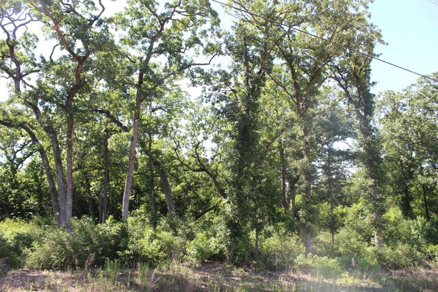 TRACT142 Private Road 1311, Centerville, TX 75833