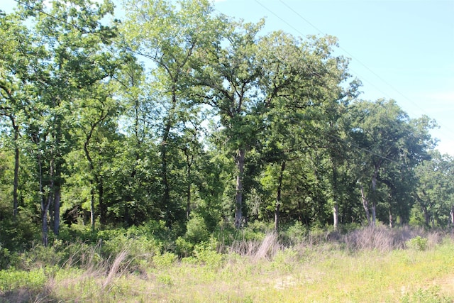 TRACT142 Private Road 1311, Centerville, TX 75833