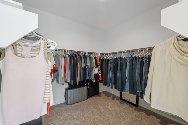 14027 Valley Creek Ct, Conroe, TX 77384 - walk in closet with carpet flooring