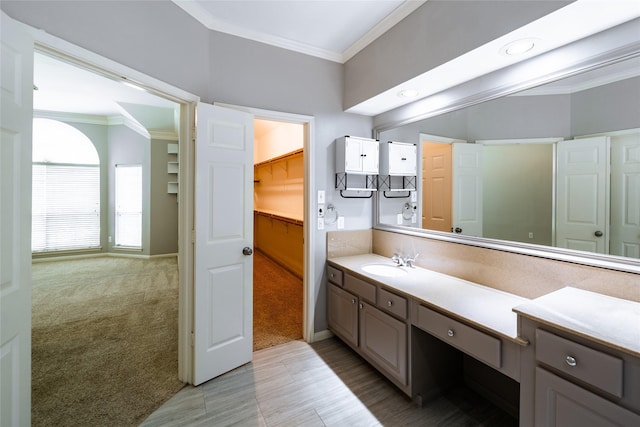 8907 Opus Ct, Houston, TX 77040 - bathroom featuring ornamental molding, vanity, a spacious closet, and baseboards