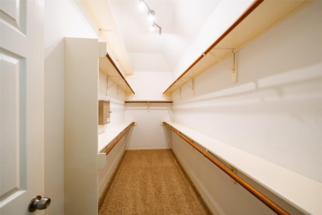 8907 Opus Ct, Houston, TX 77040 - spacious closet with light colored carpet