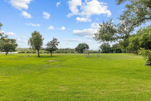 4322 Shady Springs Dr, Pasadena, TX 77586 - view of green lawn