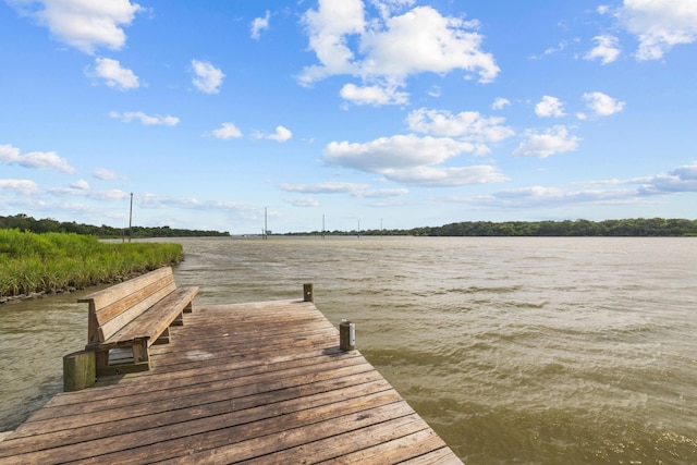 4322 Shady Springs Dr, Pasadena, TX 77586 - dock area with a water view