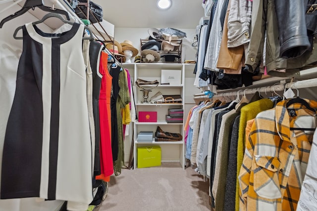 5859 Doliver Dr Unit 14, Houston, TX 77057 - spacious closet featuring carpet